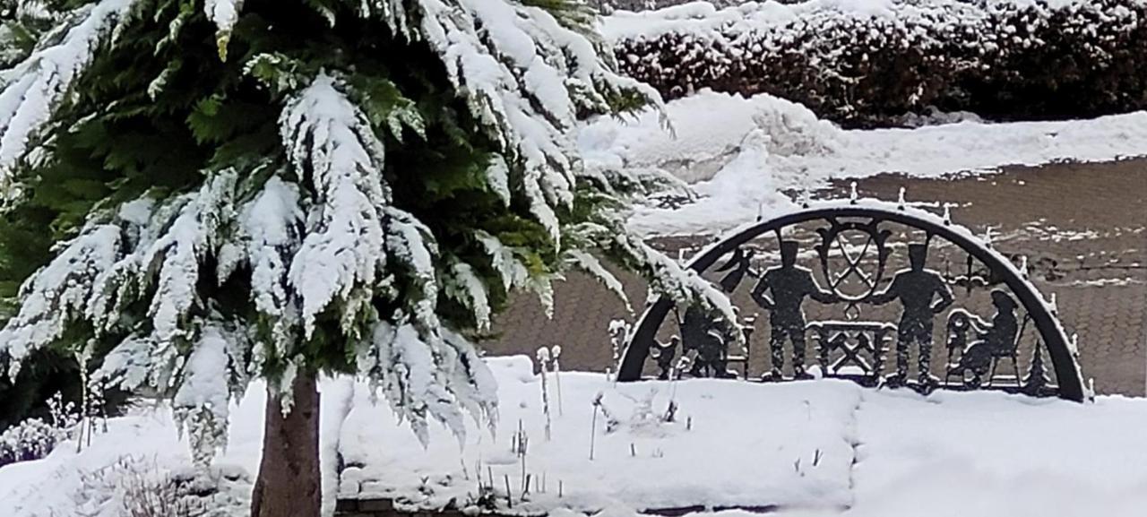 Fewo Harz Haennig 1 Wieda Екстер'єр фото