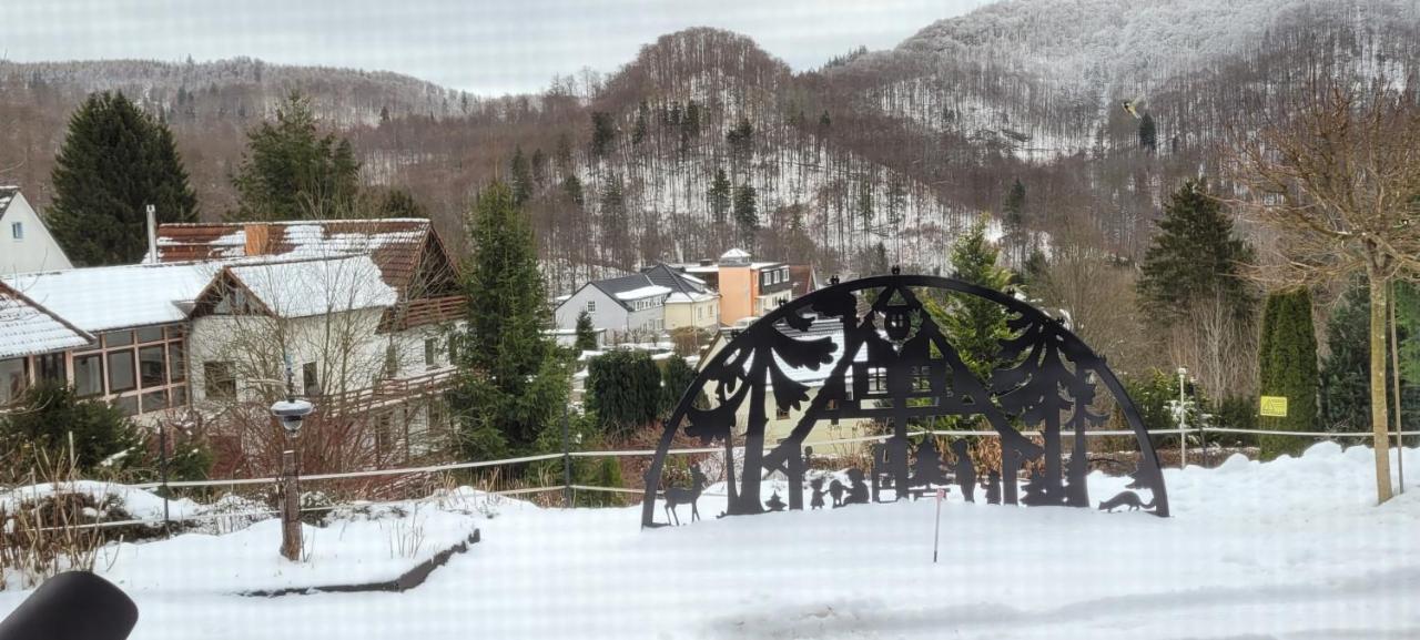 Fewo Harz Haennig 1 Wieda Екстер'єр фото