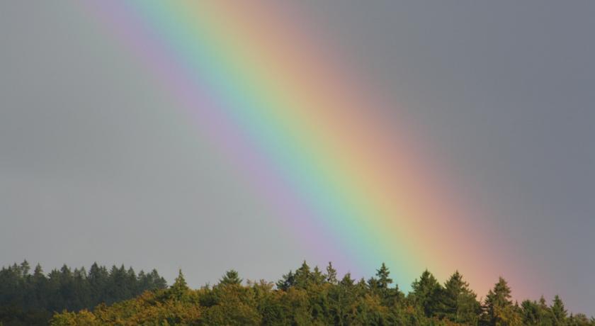 Fewo Harz Haennig 1 Wieda Номер фото