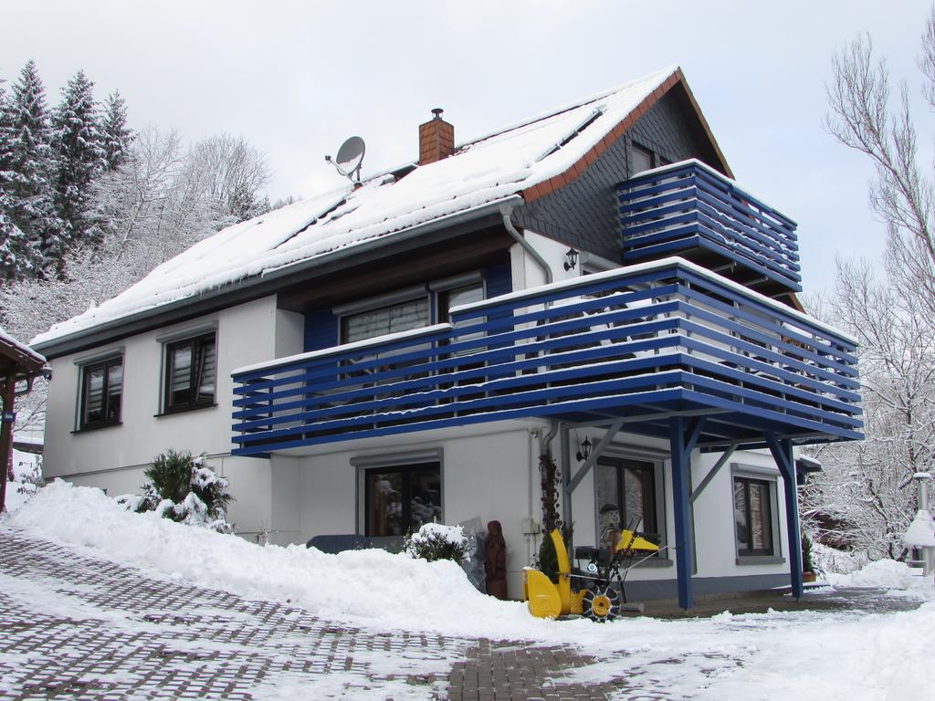 Fewo Harz Haennig 1 Wieda Екстер'єр фото