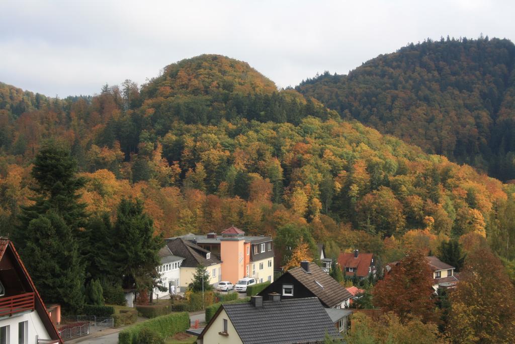 Fewo Harz Haennig 1 Wieda Екстер'єр фото